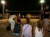 fun-beach-volley-party-hendschiken-samstag-0868